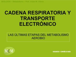 CADENA RESPIRATORIA Y TRANSPORTE ELECTRÓNICO LAS ÚLTIMAS ETAPAS DEL METABOLISMO AEROBIO 