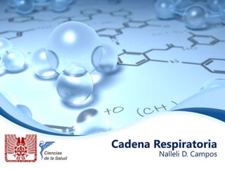 Cadena Respiratoria 
Nalleli D. Campos 
 