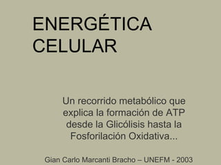 ENERGÉTICA
CELULAR
Un recorrido metabólico que
explica la formación de ATP
desde la Glicólisis hasta la
Fosforilación Oxidativa...
Gian Carlo Marcanti Bracho – UNEFM - 2003
 