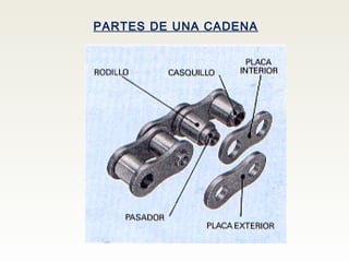 PARTES DE UNA CADENA
 