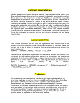 CADENAS ALIMENTARIAS
La vida necesita un continuo aporte de energía. Esta energía proviene del sol, que
llega al planeta y pasa de un organismo a otro a través de las cadenas alimentarias.
Si se observa a los organismos vivos que habitan un ecosistema se puede
comprobar que algunos de ellos, como las plantas verdes, pueden subsistir sin la
necesidad de otros organismos. Gracias a que estos vegetales tienen clorofila,
realizan una reacción química en presencia del sol (la fotosíntesis) para elaborar
sus propias sustancias alimenticias. Es por ello que a los vegetales se los llama
autótrofos. En el caso de los animales, al carecer de clorofila, algunos necesitan de
los vegetales para alimentarse (herbívoros), otros utilizan a los propios animales
(carnívoros) y un tercer grupo se alimenta de vegetales y animales (omnívoros).
Como los animales no pueden fabricar sus propios alimentos se los llama
heterótrofos.
CADENA ALIMENTARIA
Una cadena alimentaria es una serie de organismos vivos relacionados de tal
manera que uno consume al que le precede en la cadena, y a su vez, puede ser
comido por el que le sigue. La siguiente es una cadena alimentaria terrestre de
cuatro eslabones:
PLANTA --> HORMIGA NEGRA --> RANA --> CULEBRA
Las flechas de las cadenas alimentarias van siempre de la presa al consumidor. Al
comienzo de toda cadena alimentaria siempre se encuentran los organismos
vegetales, denominados productores. Le siguen los consumidores, que pueden ser
primarios o de primer orden, secundarios o de segundo orden, etc. de acuerdo al
lugar que ocupen dentro de la cadena.
PLANTA (Productor) --> HORMIGA (consumidor 1º) --> RANA (consumidor 2º) --
> CULEBRA (consumidor 3º)
Productores
Son organismos con capacidad de transformar las sustancias inorgánicas en
orgánicas, razón por la cual son el primer eslabón de la cadena alimentaria. Los
productores están representados por los vegetales y por las algas foto
sintetizadoras, que poseen la facultad de transformar la energía lumínica
proveniente de los rayos solares en energía química. Posteriormente, esa energía
será acumulada en compuestos orgánicos que le permitirán crecer y cumplir con
sus funciones vitales. Todos los animales de la comunidad dependen directa o
indirectamente de los productores (autótrofos), lo que demuestra que sin las
plantas verdes es imposible la vida en nuestro planeta.
 