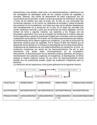 tripanosomas y las amebas, entre otros. Los descomponedores y detritívoros son
los encargados de desintegrar parte de los cuerpos muertos de vegetales y
animales. Además, otra fuente de alimentación de estos organismos son los
excrementos de los animales, el pelo y la lana que pierden los mamíferos, las hojas
y frutos de los árboles que caen al suelo, etc. Si bien en una comunidad hay
numerosas especies, no es común ver cadáveres de animales y restos de plantas
que perduren en los ecosistemas. Las hojas que caen de los árboles desaparecen
casi completamente en el transcurso de un año. En el suelo hay animales que
comen cadáveres (carroña) y otros que se alimentan de restos vegetales, como la
lombriz de tierra y algunos insectos. Las bacterias y los hongos son los
principales organismos vivos que se encargan de transformar la materia orgánica
de los organismos muertos en sustancias inorgánicas o minerales, para que queden
a disposición de las plantas. Por lo tanto, son los descomponedores los que realizan
la transformación de la materia orgánica en inorgánica, y con ello la producción de
elementos nutritivos para los vegetales. Por lo menos el 80% del material que se
desprende de las plantas en un bosque es desintegrado por los descomponedores.
Cualquiera de los eslabones de una cadena alimentaria se transforma, al morir, en
sustancias inorgánicas por acción de los descomponedores. De ahí la gran
importancia que tienen estos microorganismos en el ecosistema.
Resumiendo, la descomposición de los desechos produce liberación de energía y
transformación de sustancias orgánicas en inorgánicas, al desintegrarse en forma
gradual la materia orgánica muerta. Es así como los descomponedores hacen
posible que los productores puedan captar las sustancias inorgánicas para su
beneficio.
La interacción de los organismos vivos puede graficarse de la siguiente manera:
VEGETALES HERBIVOROS CARNIVOROS OMNIVOROS HONGOS BACTERIAS
AUTÓTROFOS HETERÓTROFOS HETERÓTROFOS HETERÓTROFOS HETERÓTROFOS
PRODUCTORES CONSUMIDORES
1°
CONSUMIDORES
2°
CONSUMIDORES
1° Y2°
DESCOMPONEDORES
 