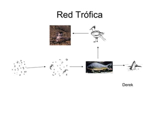 Red Trófica Derek
