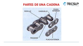 PARTES DE UNA CADENA
 
