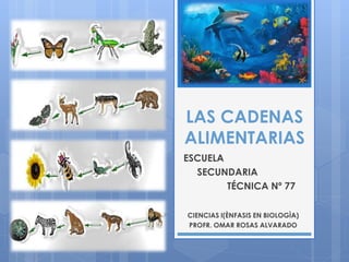 LAS CADENAS
ALIMENTARIAS
ESCUELA
SECUNDARIA
TÉCNICA Nº 77
CIENCIAS I(ÈNFASIS EN BIOLOGÌA)
PROFR. OMAR ROSAS ALVARADO
 