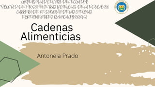 UNIVERSIDAD CENTRAL DEL ECUADOR


FACULTAD DE FILOSOFÍA, LETRAS Y CIENCIAS DE LA EDUCACIÓN


CARRERA DE PEDAGOGÍA DE LAS CIENCIAS


EXPERIMENTALES QUÍMICA Y BIOLOGÍA


Cadenas
Alimenticias
Antonela Prado
 