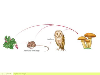 15 23/08/2018 Agregar un pie de página
 