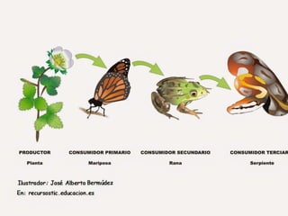 18 23/08/2018 Agregar un pie de página
 