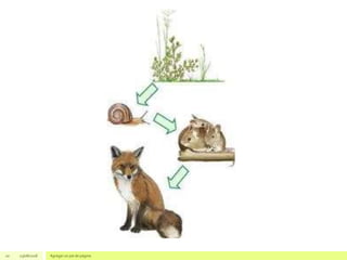 20 23/08/2018 Agregar un pie de página
 