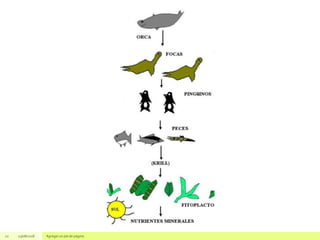 22 23/08/2018 Agregar un pie de página
 