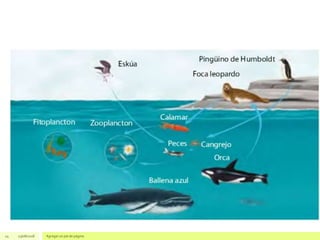 24 23/08/2018 Agregar un pie de página
 