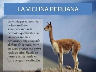 3 23/08/2018 Agregar un pie de página
 