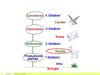 4 23/08/2018 Agregar un pie de página
 