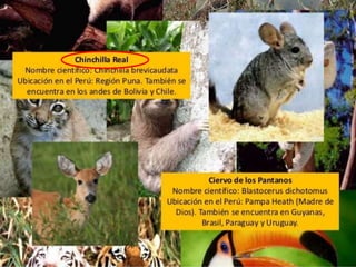 5 23/08/2018 Agregar un pie de página
 