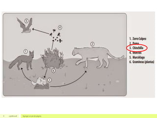 6 23/08/2018 Agregar un pie de página
 