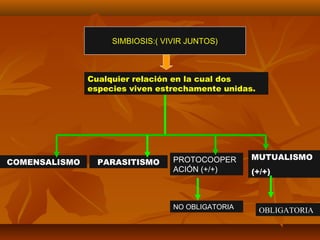 SIMBIOSIS:( VIVIR JUNTOS)
Cualquier relación en la cual dos
especies viven estrechamente unidas.
COMENSALISMO PARASITISMO
MUTUALISMO
(+/+)
PROTOCOOPER
ACIÓN (+/+)
NO OBLIGATORIA OBLIGATORIA
 