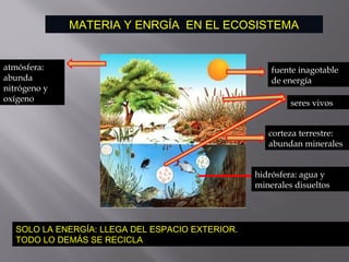 MATERIA Y ENRGÍA EN EL ECOSISTEMA
corteza terrestre:
abundan minerales
hidrósfera: agua y
minerales disueltos
atmósfera:
abunda
nitrógeno y
oxígeno
fuente inagotable
de energía
seres vivos
SOLO LA ENERGÍA: LLEGA DEL ESPACIO EXTERIOR.
TODO LO DEMÁS SE RECICLA
 