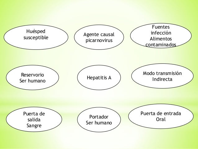 cadena epidemiologica bacteriana cadenas epidemiologicas cadena epidemiologica bacteriana cadenas epidemiologicas
