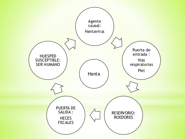 cadena epidemiologica lepra cadenas epidemiologicas cadena epidemiologica lepra cadenas epidemiologicas