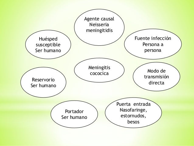 cadena epidemiologica tetanos cadenas epidemiologicas cadena epidemiologica tetanos cadenas epidemiologicas