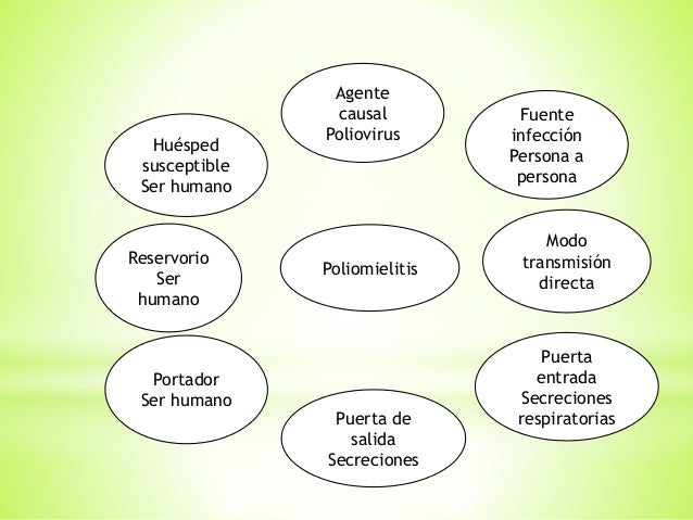 cadena epidemiologica poliomelitis cadenas epidemiologicas cadena epidemiologica poliomelitis cadenas epidemiologicas