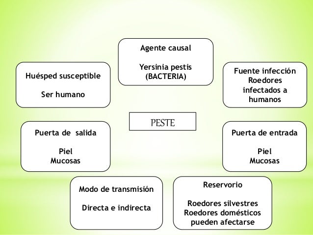 cadena epidemiologica lepra cadenas epidemiologicas cadena epidemiologica lepra cadenas epidemiologicas