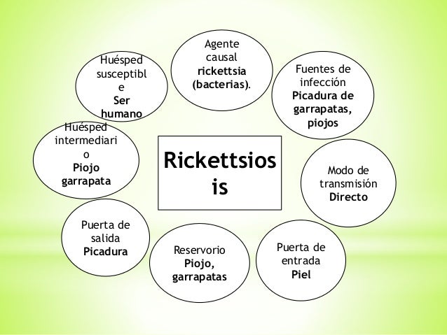 cadena epidemiologica bacteriana cadenas epidemiologicas cadena epidemiologica bacteriana cadenas epidemiologicas