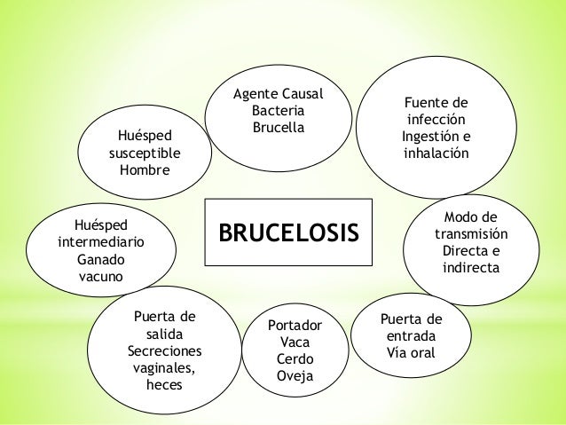 cadena epidemiologica treponema pallidum cadenas epidemiologicas cadena epidemiologica treponema pallidum cadenas epidemiologicas