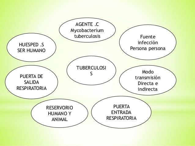 cadena epidemiologica treponema pallidum cadenas epidemiologicas cadena epidemiologica treponema pallidum cadenas epidemiologicas