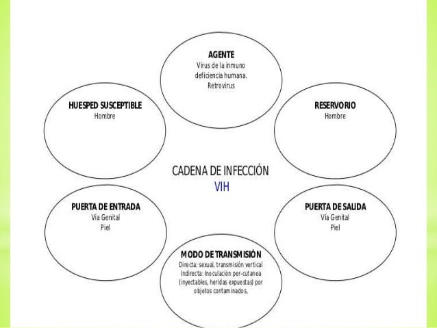 cadena epidemiologica treponema pallidum cadenas epidemiologicas cadena epidemiologica treponema pallidum cadenas epidemiologicas