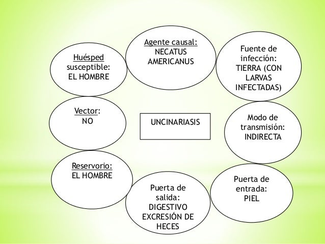 cadena epidemiologica bacteriana cadenas epidemiologicas cadena epidemiologica bacteriana cadenas epidemiologicas