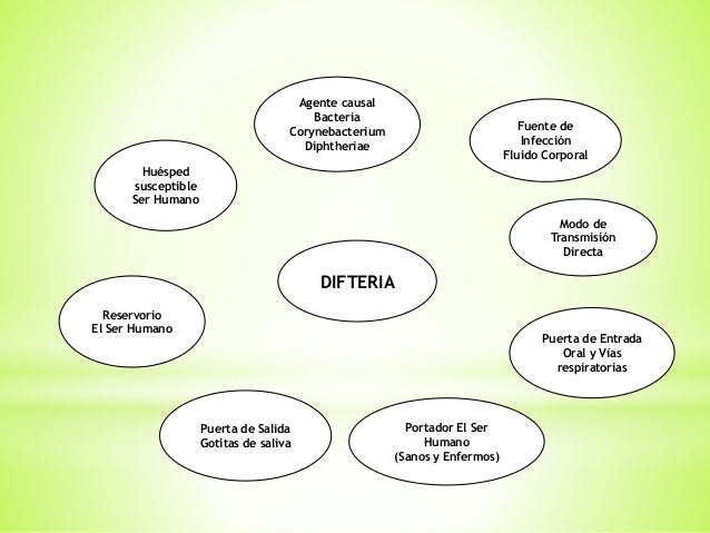 cadena epidemiologica lepra cadenas epidemiologicas cadena epidemiologica lepra cadenas epidemiologicas