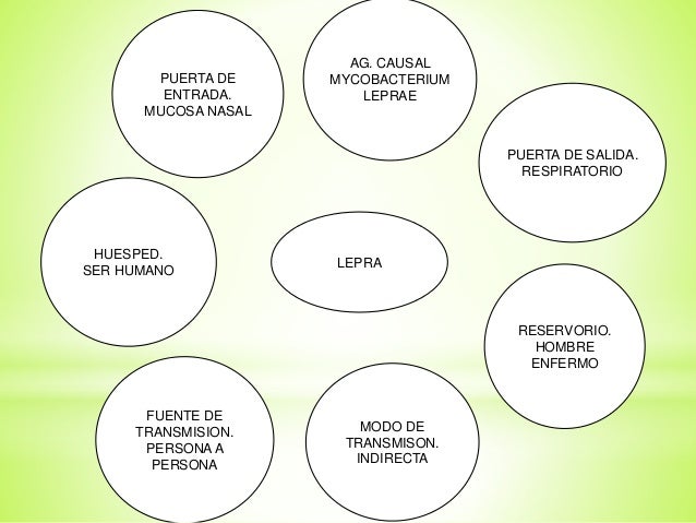 cadena epidemiologica lepra cadenas epidemiologicas cadena epidemiologica lepra cadenas epidemiologicas