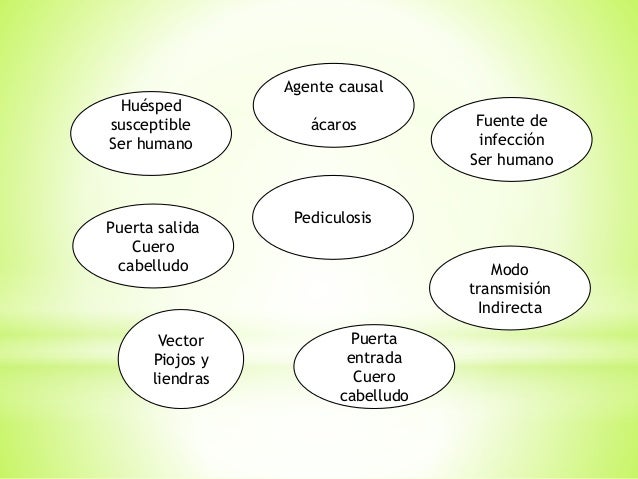 cadena epidemiologica vias de transmision cadenas epidemiologicas cadena epidemiologica vias de transmision cadenas epidemiologicas
