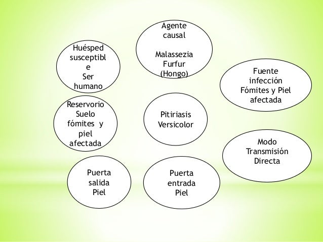 cadena epidemiologica lepra cadenas epidemiologicas cadena epidemiologica lepra cadenas epidemiologicas
