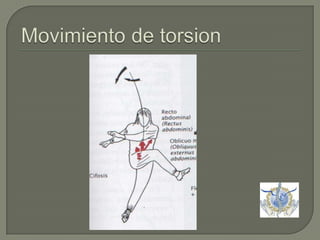 Movimiento de torsion