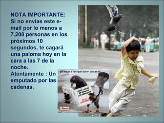 NOTA IMPORTANTE: Si no envías este e-mail por lo menos a 7.200 personas en los próximos 10 segundos, te cagará una paloma hoy en la cara a las 7 de la noche.  Atentamente : Un emputado por las cadenas. 
