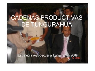 CADENAS PRODUCTIVAS
DE TUNGURAHUA

Estrategia Agropecuaria Tungurahua 2009

 