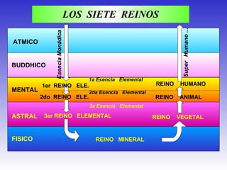 LOS  SIETE  REINOS ATMICO BUDDHICO MENTAL ASTRAL FISICO 1er  REINO  ELE. 2do  REINO  ELE. 3er REINO  ELEMENTAL REINO  MINERAL REINO  VEGETAL 1a Esencia  Elemental 2da Esencia  Elemental  3a Esencia  Elemental  REINO  HUMANO REINO  ANIMAL Esencia Monádica Super   Humano ... 