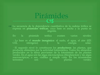 Pirámides
                           
 La secuencia de la dependencia cuantitativa de la cadena trófica se
  expresa en pirámides tróficas, cuya base es ancha y la punta es
                              angosta.
   En     la     pirámide       trófica     existen     varios      niveles:
   · La base es el mundo inorgánico: el suelo, el agua, el aire (021
   C02,       nitrógeno)     y        la        energía        solar.
   · El segundo nivel lo constituyen los productores: las plantas, que
   producen alimentos por la actividad fotosintética. Todos los alimentos
   producidos en la tierra provienen de la fotosíntesis de las plantas
   verdes. En el agua son las algas microscópicas (fitoplancton) y las algas
   macroscópicas, o sea, visibles a simple vista. En los ecosistemas
   terrestres          son           las          plantas            verdes.
 