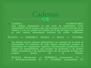 Cadenas
                         
 CADENA                                               ALIMENTARIA
  Una cadena alimentaria es una serie de organismos vivos
  relacionados de tal manera que uno consume al que le precede en la
  cadena, y a su vez, puede ser comido por el que le sigue. La siguiente
  es una cadena alimentaria terrestre de cuatro eslabones:

PLANTA     -->   HORMIGA       NEGRA     -->   RANA     -->   CULEBRA

 Las flechas de las cadenas alimentarias van siempre de la presa al
  consumidor. Al comienzo de toda cadena alimentaria siempre se
  encuentran los organismos vegetales, denominados productores. Le
  siguen los consumidores, que pueden ser primarios o de primer
  orden, secundarios o de segundo orden, etc. de acuerdo al lugar que
  ocupen            dentro          de            la          cadena.
   PLANTA (Productor)        -->   HORMIGA (consumidor 1º) --
   > RANA(consumidor         2º)   --> CULEBRA (consumidor 3º)
 