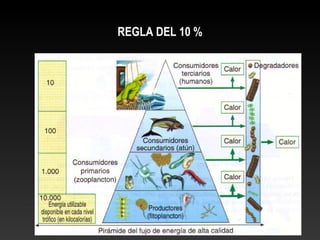 REGLA DEL 10 %
 