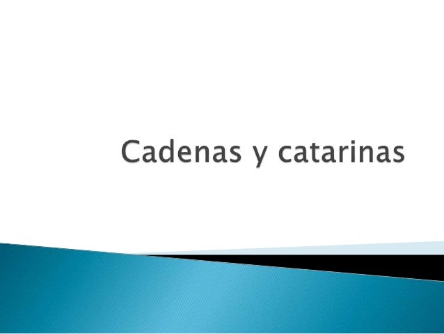 transmisión por cadenas y catarinas cadenas y catarinas transmisión por cadenas y catarinas cadenas y catarinas