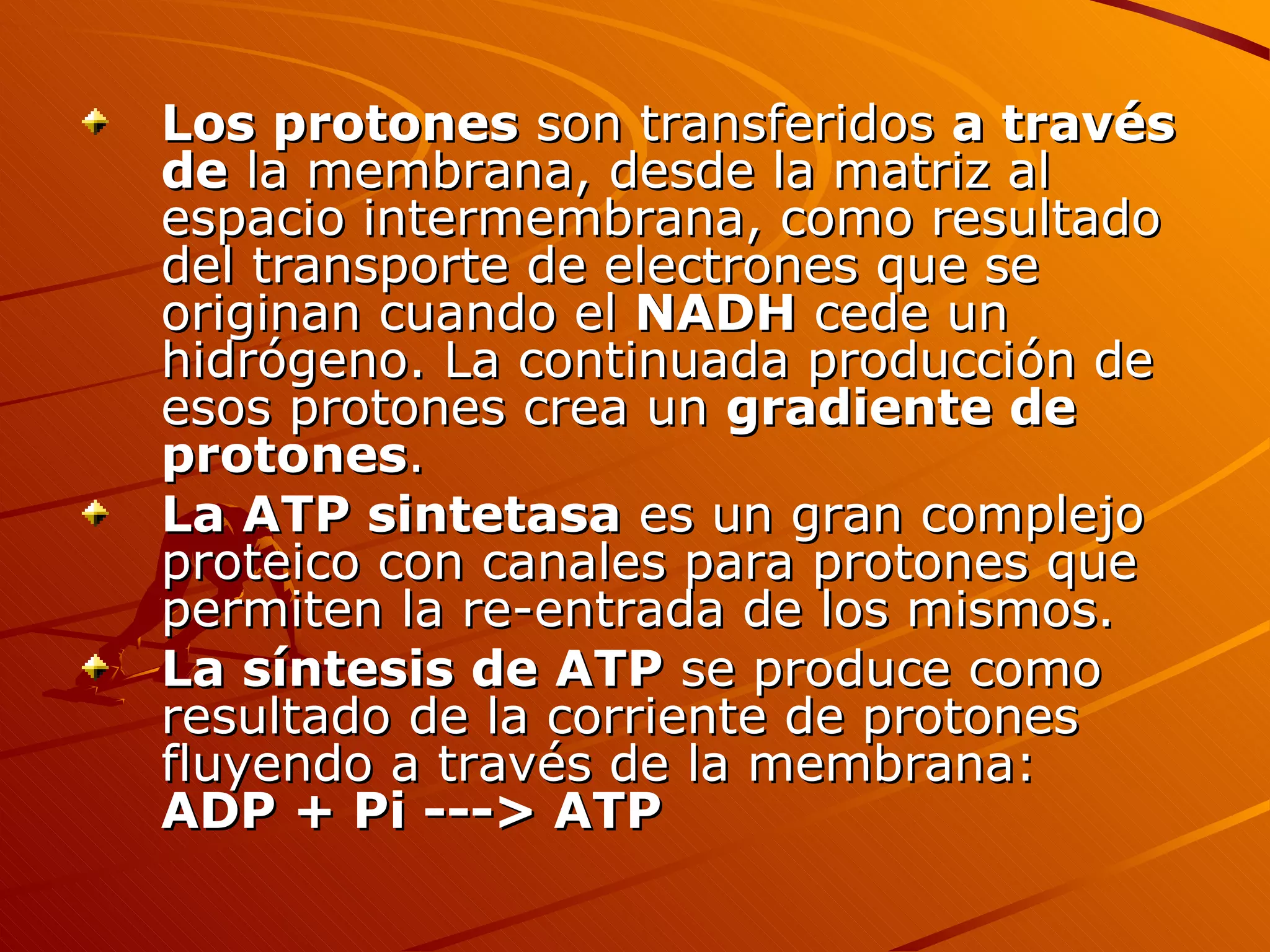 Cadena transportadora de electrones PPT