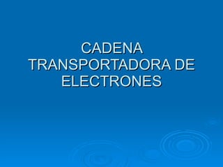 CADENA TRANSPORTADORA DE ELECTRONES 