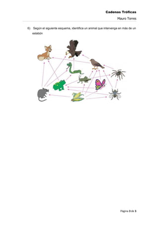 Cadenas Tróficas
Mauro Torres
Página 3 de 3
6) Según el siguiente esquema, identifica un animal que intervenga en más de un
eslabón
 