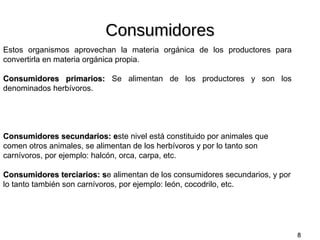 Consumidores
Estos organismos aprovechan la materia orgánica de los productores para
convertirla en materia orgánica propia.
Consumidores primarios: Se alimentan de los productores y son los
denominados herbívoros.
•En la tierra, los herbívoros típicos incluyen insectos, reptiles, pájaros y mamíferos.
•En los ecosistemas acuáticos (de agua dulce y salada) los herbívoros son típicamente
pequeños crustáceos y moluscos.
Consumidores secundarios: este nivel está constituido por animales que
e
comen otros animales, se alimentan de los herbívoros y por lo tanto son
carnívoros, por ejemplo: halcón, orca, carpa, etc.
Consumidores terciarios: se alimentan de los consumidores secundarios, y por
s
lo tanto también son carnívoros, por ejemplo: león, cocodrilo, etc.

8

 