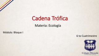 Cadena Trófica
Materia: Ecología
Módulo: Bloque I
6 to Cuatrimestre
 