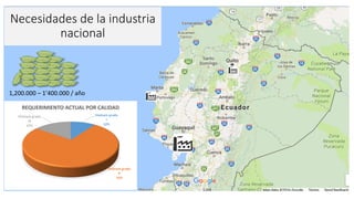 Cadena de café de la Amazonía Ecuatoriana