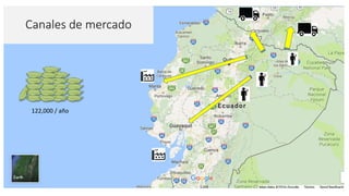 Cadena de café de la Amazonía Ecuatoriana